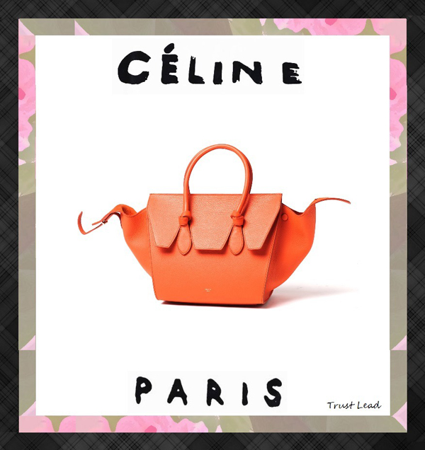 セレブ愛用☆早い者勝ち★CELINE セリーヌ スーパーコピー☆TIE MINI★ハンドバッグ 175883TKB20BT